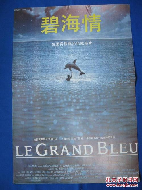 阳光海岸大学经济学文凭证书